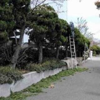 庭師はじめませんか？まずは掃除体験からスタート！未経験OK☆の画像