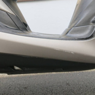 マジェスティS  の画像