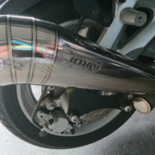 マジェスティS  の画像