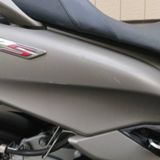 マジェスティS  の画像