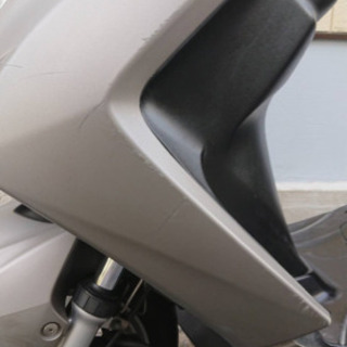 マジェスティS  の画像