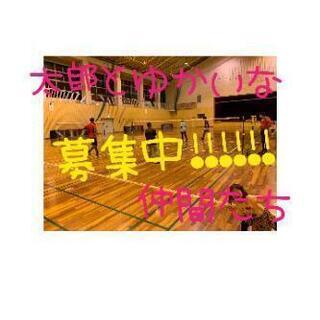 ﾊﾞﾄﾞﾐﾝﾄﾝ仲間募集中です◝(⑅•ᴗ•⑅)◜