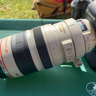 売れ筋 【本日午前11時まで！】Canon zoom EF 100-400mm L IS ULTRASONIC