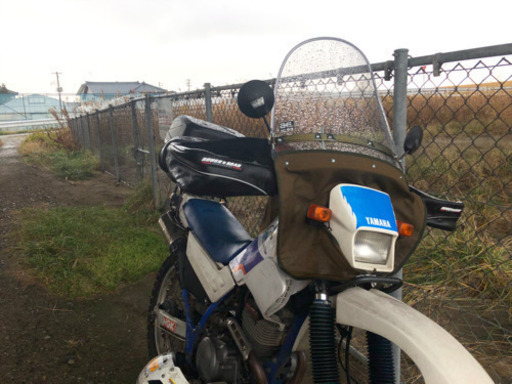 桁違いで再掲 セロー225  オフロード オフ車