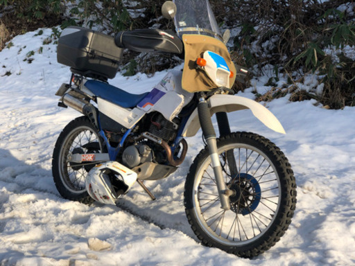 桁違いで再掲 セロー225  オフロード オフ車