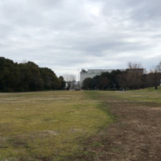 今モルックやってます！