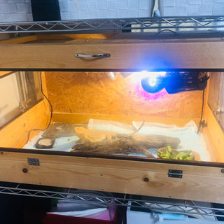 爬虫類用木製ケージ