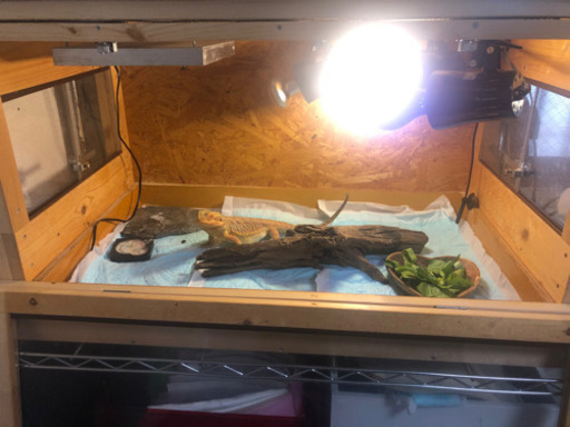 爬虫類用木製ケージ