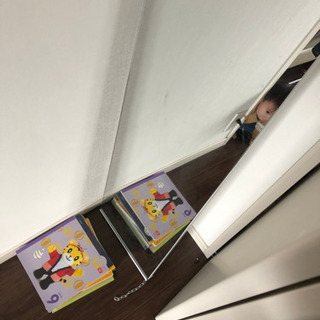 全身鏡　⚠︎チェーン壊れてます