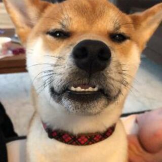欲しいです