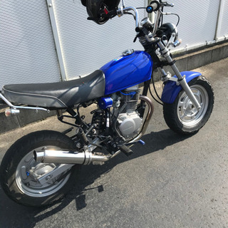 エイプ100ccの画像
