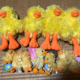 スージーズーのアヒル セット