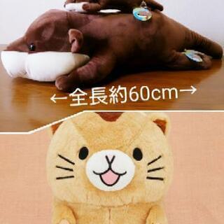 【1700円】引き渡し者様決定 八景島シーパラダイスでGET★ カワウソくんぬいぐるみ ２体セット＋ヤマネぬいぐるみXLサイズ の画像