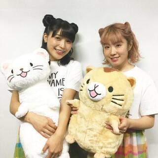 【1700円】引き渡し者様決定 八景島シーパラダイスでGET★ カワウソくんぬいぐるみ ２体セット＋ヤマネぬいぐるみXLサイズ の画像