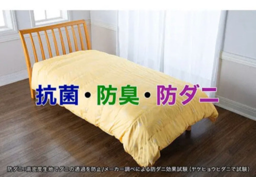 本日限定！トゥルースリーパー♡ホオンテック掛け布団シングル