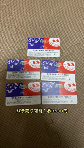 高鷲、ダイナランド　共通リフト券5枚