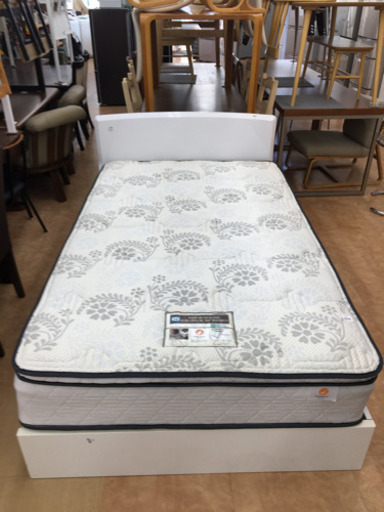 【トレファク摂津店 店頭限定】 sealyのセミダブルベッド入荷致しました！
