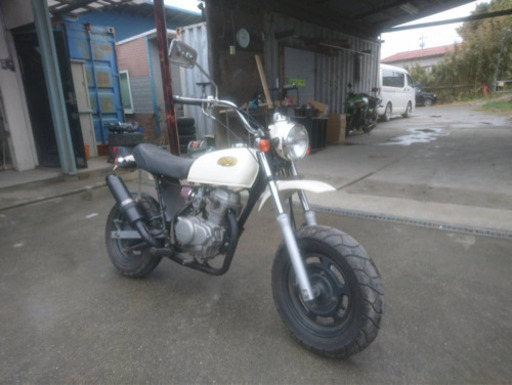 エイプ50‼️速いです❗️