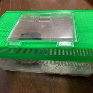 飼育用　水槽