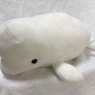 シロイルカのぬいぐるみ