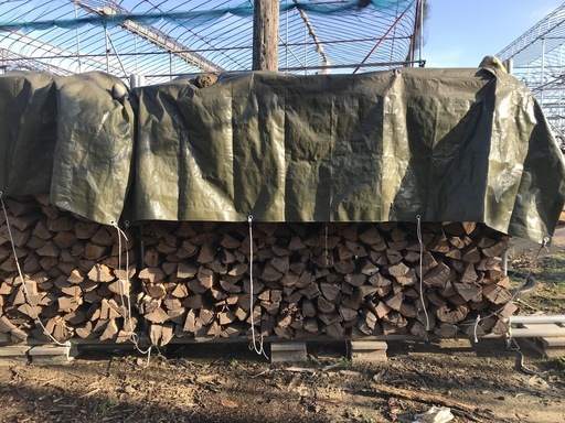 薪ストーブキャンプ広葉樹 薪割済のニセアカシア 薪 1棚 すぐに使える②