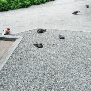 ストレスが溜まって苦しい方へ