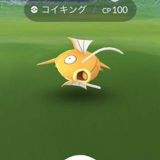 霧島市で友達になってくれる方！