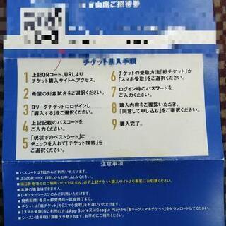 シーホース三河2階自由席招待券2枚