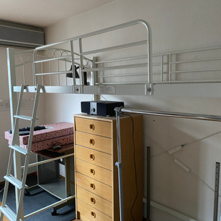 無料配達！　ベット　ホワイト