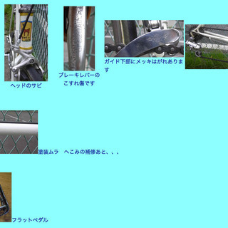 クラシック ロードバイク カンパ サンマルコロールスの画像