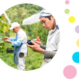 就労継続支援a型　ぴ～か～ぶ～の作業支援員スタッフ募集！