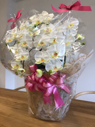 胡蝶蘭の造花