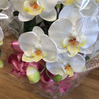 胡蝶蘭の造花の画像