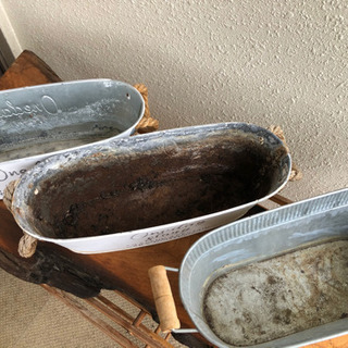 植木の鉢として使用の画像