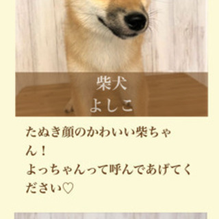 犬カフェ！！！🐶1/27本日！！！八王子！