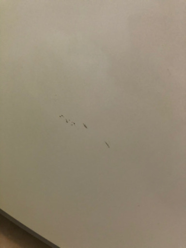 決まりました＊6キロ洗濯機