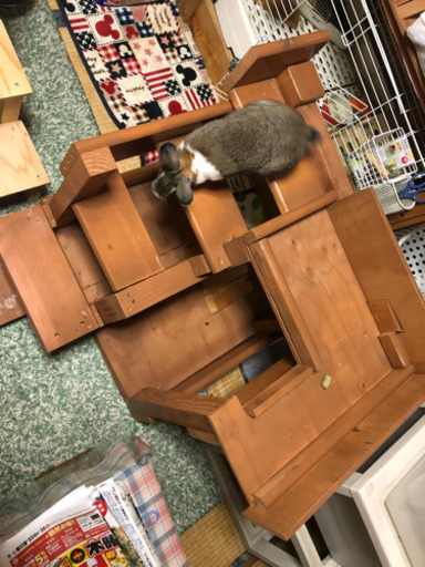うさぎ　小動物用階段　遊具