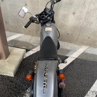 ストリートマジック50