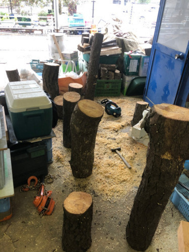 見ないと損✳️丸太✳️キャンプ✳️オブジェ✳️