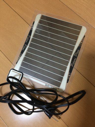 ☆新成虫 レギウスペア+パネルヒーター☆