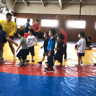 札幌市東区でレスリング・マット運動　見学・体験者募集！