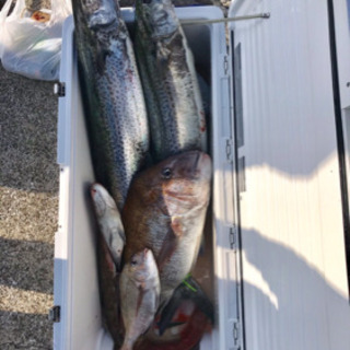 🔵ジギングメタルジグCB ONE、マリアオフィース、スミスなど、一本から販売可能の画像