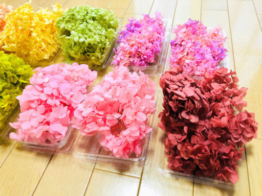ハーバリウム用花材 プリザーブドフラワーセット