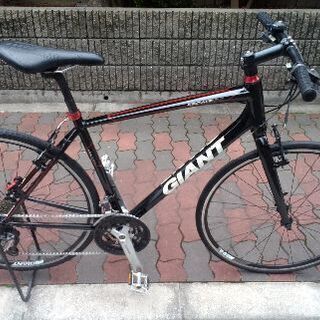 🚴GIANT escape rx