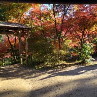 京都で友達募集
