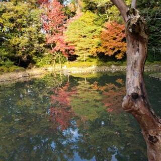 京都で友達募集 - 友達