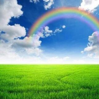 ･:*+.(( °ω° ))/.:+全国雑グル募集中✩*॰¨̮