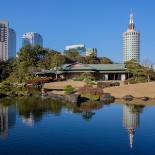 一客一亭茶会 【 初花月を愉しむ 】 令和2年2月15日開催