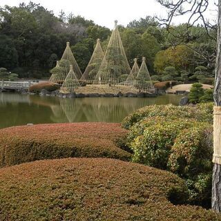 一客一亭茶会 【 初花月を愉しむ 】 令和2年2月15日開催の画像