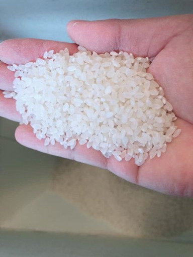 石川県ー富山県のお米